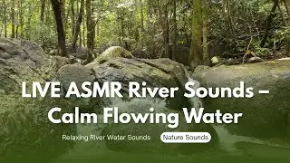 Relaxing River Sound - Peaceful Forest Rivee - 3 Hours Long - HD 1080p - Nature vidio