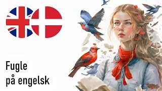 Fugle p&aring; engelsk (Kvindestemme)