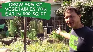 How One Family Grows 70% of the Vegetables they Eat in 300 Sq Ft
