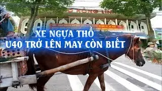 Xe Ngựa Thồ | Nét Đẹp Văn Hóa Người Hồng Lĩnh Hà Tĩnh