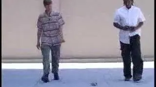 Roach Robots: ScienCentral 