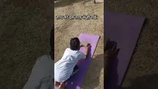 pinch mayur #elbowstand #pinchan #pinchamayurasana #balwnce #howto balance #yogahelth#poweryoga