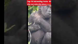 Top 10 Intresting Facts 03 #shorts  #shortsfeed  #youtubeshorts