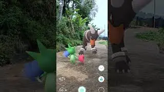 Underworld Dog против Surface Flower Pokemon #254 #pokemon