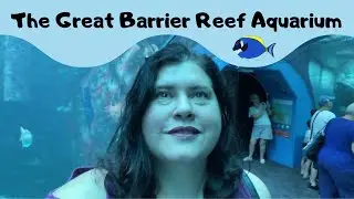 Townsville HQ Reef Aquarium - The Great Barrier Reef