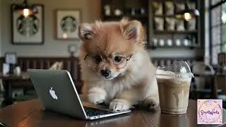Cute Pomeranian Working on a Laptop at Starbucks | Adorable Dog Content