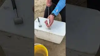 Easy Mackerel And Squid Bait! #bait #squid #tutorial #mackerel #fish