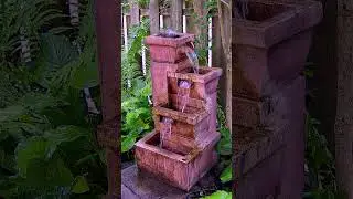 Birds Playing in a Fountain! #birds #birdbathfountain #birdlovers