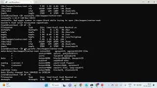 [Fix]resize2fs: Bad magic number in super-block while trying to open Couldn't find valid filesystem