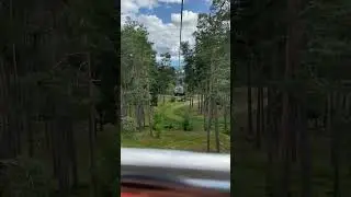 Sweden zoo #sweden #srilanka #tamilnadu #viral