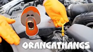 Orangathang Gloves: The New Standard in Nitrile Protection!
