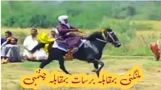 Three top class horses#horses competition at mela makwal kalan taunsa sharif#pakistan#chandiya Vlog