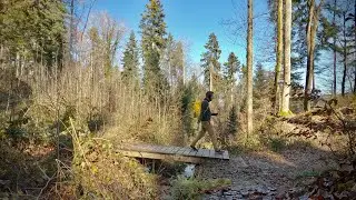 Menziken - Muri AG