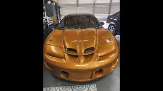1999 Fbody Brazen Orange Pontiac Firebird Trans am Restoration Journey