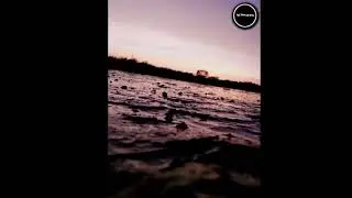 NyC Photography At Azamgarh