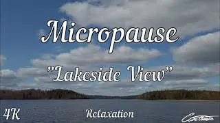 Relaxation: Micropause 