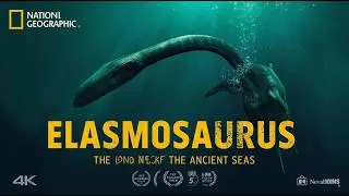 Elasmosaurus: The Long-Necked Ocean Giant That Ruled the Cretaceous Seas