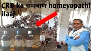 सी,आर,डी का रामबाण होम्योपैथी इलाज ll  treatment homeyopathi in c r d