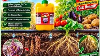 ORABANJ & CANAVAR OTU İLE MÜCADELE SÜPER