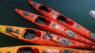 Kayaking and Whale Watching Day Tour