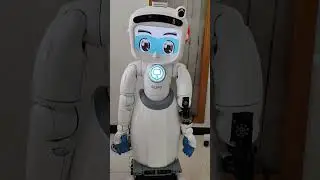 #dinsaw #bangkok #robot Cr. CT Asia robotics