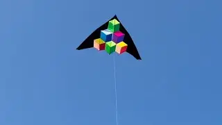 Illusion kite, Wimpole Hall, Cambridgeshire