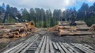 Heavy Equipment Logging Operation
