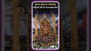 Tirumala Virtual Seva + Darshan Update #tirumala #ttd