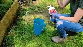 Fertilizing Peppers | Weedwhacking | I hit a bees nest!!