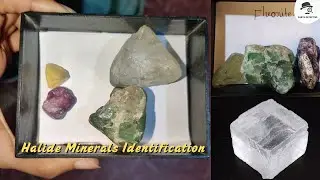 Fluorite and Rock Salt - Halide Minerals Identification in Geology! | Earth Detective