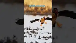 GODS creation#god #hunting