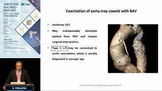 A. Chalapas | CT Imaging of Bicuspid Aortic Valve Disease.
