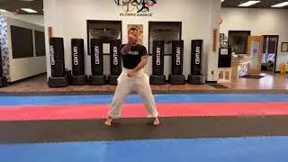 Naihanchi Shodan Workshop