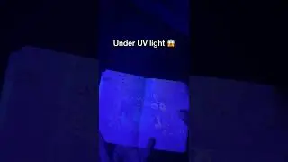 Canadian Passport under UV light was Magic🪄😱#canadian #passport #uvlight #blacklight #trend #short