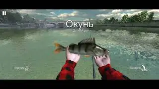 4 января 2026 г.
