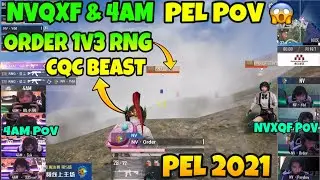 NVXQF & 4AM PEL 2021 POV | Nova Order best close range 1v3 RNG | NVXQF PEL POV | 4AM PEL POV | PEL |