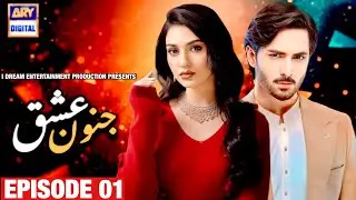 Ishq Junoon | Danish Taimoor & Sarah Khan | Ary Digital | New Drama News 