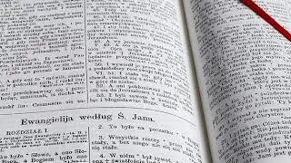 Bible Study यशैया 19 #trending #youtubevideo #viral #biblestudy #jesus #love #god 
