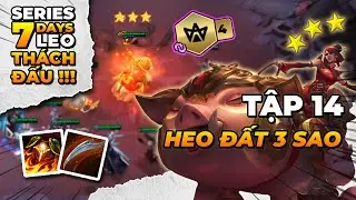 TG FEED - SERIES 7 DAYS LEO TH&Aacute;CH ĐẤU | EP 14: HEO ĐẤT 3 SAO VỚI ĐỘI H&Igrave;NH TI&Ecirc;N PHONG B&Iacute; ẨN|TFT FATES