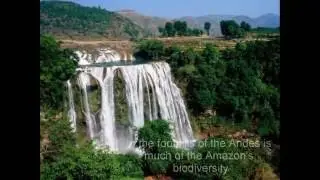 The Great Amazon River! The Largest Waterfall In the World - Pitbull