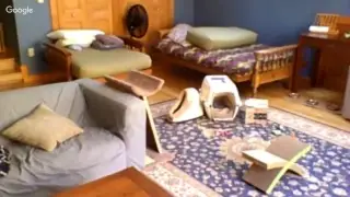 KittenTV