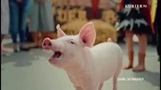 Tierische Schauspieler: Ein Besuch bei einer Filmtiertrainerin