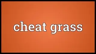 Cheat grass Meaning