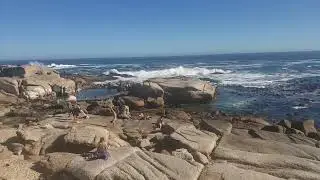 L❤️ VE BOTANY BAY! saunders rock tidal pool