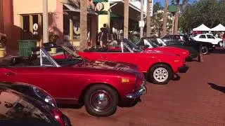 Viva Alfa 2017