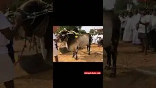 DVR || RUDHRA-BHADRA ||