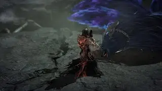 Lost Ark destroying night fox yoho.