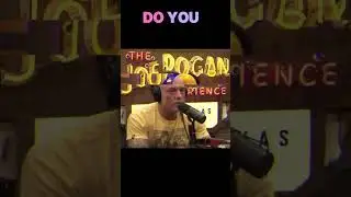 What Happens When One Tech Bro Owns Reality? Joe Rogan on Elon Musk