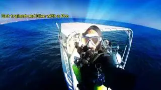 Dive with Imad Khashfeh