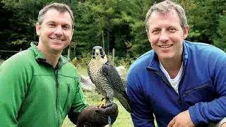 Happy 60th birthday to Martin Kratt from Zoomafoo &  Wild Kratts with his brother Chris